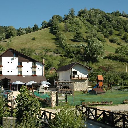 Pension Podul Turcului Moieciu de Jos Exterior photo