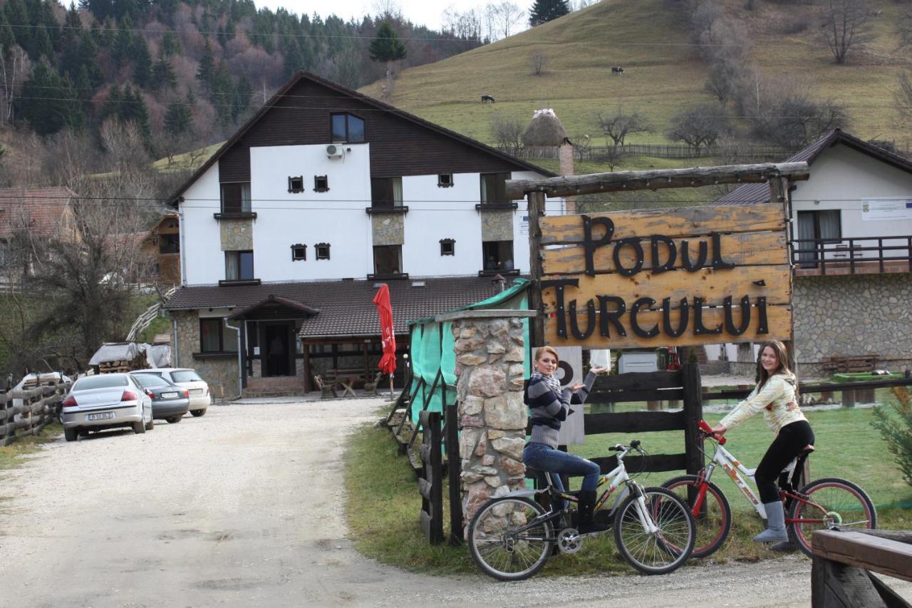 Pension Podul Turcului Moieciu de Jos Exterior photo